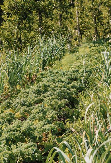 Unsere Herzensangelegenheit Unsere Herzensangelegenheit