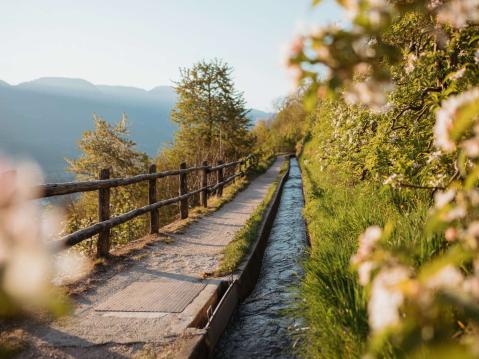 Jogging is a group sport at Jagdhof