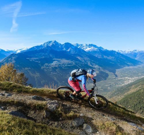 Committed to quality Committed to quality