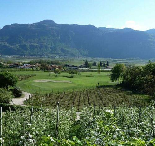 Dein Golfurlaub in Suedtirol Dein Golfurlaub in Suedtirol