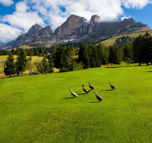 La Vostra vacanza da golf in Alto Adige