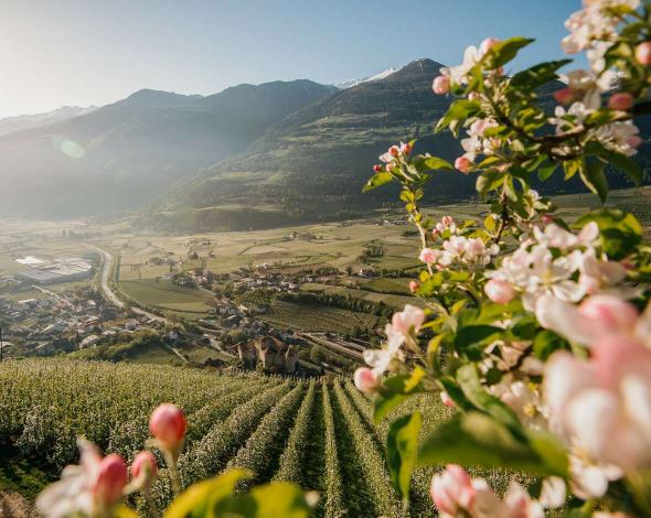 "Grias Di" im wohl genialsten Sporthotel in Suedtirol! "Grias Di" im wohl genialsten Sporthotel in Suedtirol!