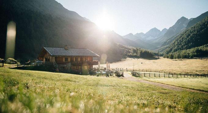 Out into nature Out into nature