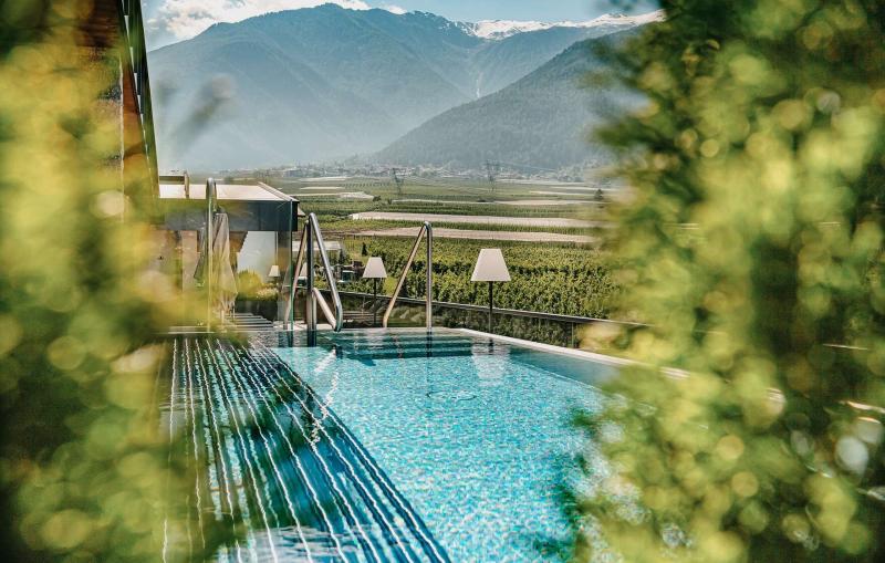 Regeneration & Relaxation